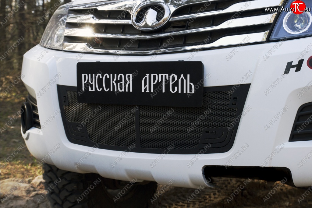 2 349 р. Защитная сетка решетки переднего бампера РА  Great Wall Hover H3 (2010-2014)  дорестайлинг  с доставкой в г. Пермь