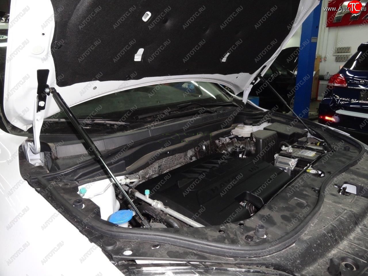 2 149 р. Упоры капота Russtal Haval H6 (2013-2020)  с доставкой в г. Пермь