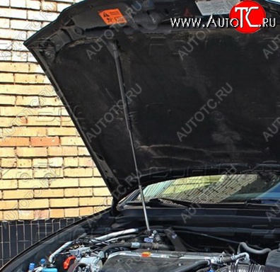 2 969 р. Газовый упор капота Tuning-Sport Honda Accord 7 CL седан дорестайлинг (2002-2005)  с доставкой в г. Пермь