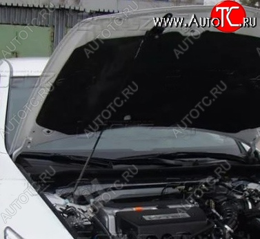 2 969 р. Газовый упор капота Tuning-Sport  Honda Accord  8 CU (2008-2011) седан дорестайлинг  с доставкой в г. Пермь