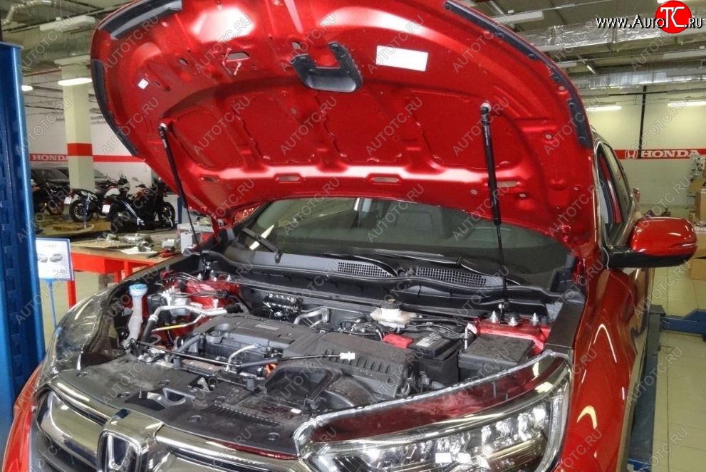 2 049 р. Упоры капота Russtal Honda CR-V RW,RT рестайлинг (2019-2022)  с доставкой в г. Пермь