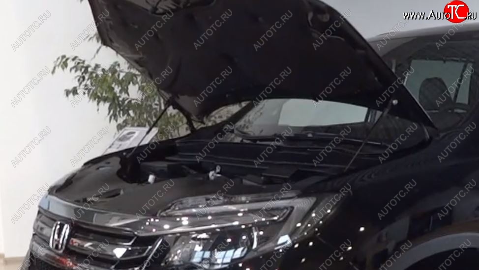 2 299 р. Упоры капота Russtal Honda Pilot YF6 дорестайлинг (2016-2019)  с доставкой в г. Пермь