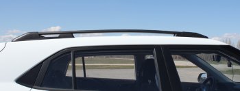 8 799 р. Комплект рейлингов АПС Hyundai Creta GS дорестайлинг (2015-2019) (Серебристые без поперечин )  с доставкой в г. Пермь. Увеличить фотографию 2