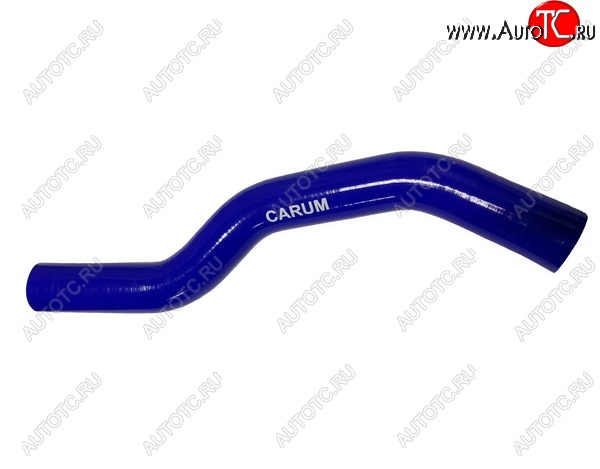 1 079 р. Патрубок радиатора (2.7 силикон) CARUM  Hyundai Santa Fe  SM (2000-2012) (верхний)  с доставкой в г. Пермь