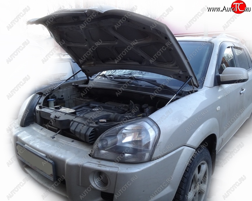 2 049 р. Упоры капота Russtal Hyundai Tucson JM (2004-2010)  с доставкой в г. Пермь