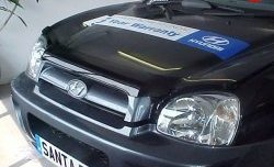 Дефлектор капота NovLine Hyundai Santa Fe  SM (2000-2012)