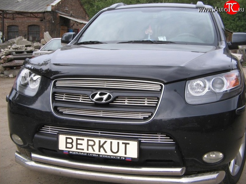 5 999 р. Декоративная вставка решетки радиатора Berkut Hyundai Santa Fe CM дорестайлинг (2006-2009)  с доставкой в г. Пермь