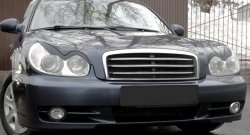 919 р. Реснички на фары RA Hyundai Sonata EF рестайлинг ТагАЗ (2001-2013) (Неокрашенные)  с доставкой в г. Пермь. Увеличить фотографию 2