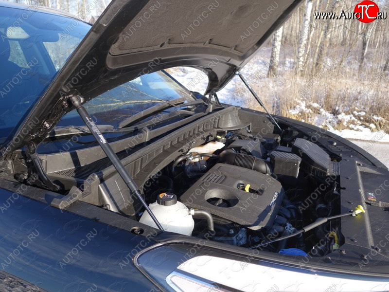 2 199 р. Газовые упоры капота Berkut Hyundai Tucson TL дорестайлинг (2015-2018)  с доставкой в г. Пермь