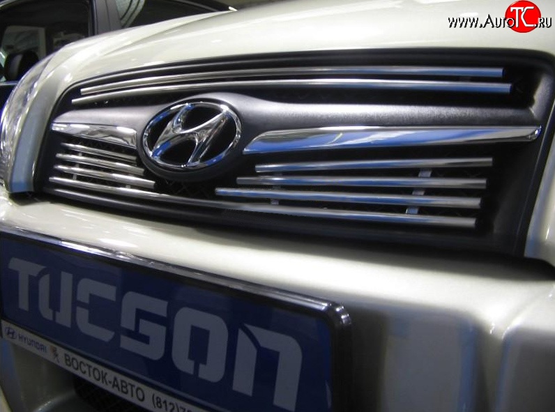 4 799 р. Декоративная вставка решетки радиатора Berkut Hyundai Tucson JM (2004-2010)  с доставкой в г. Пермь