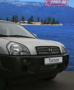 Декоративные элементы решетки радиатора Souz-96 (d10) Hyundai Tucson  JM (2004-2010)