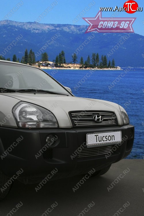 3 599 р. Декоративные элементы решетки радиатора Souz-96 (d10)  Hyundai Tucson  JM (2004-2010)  с доставкой в г. Пермь