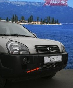 Декоративный элемент воздухозаборника Souz-96 (d10) Hyundai Tucson  JM (2004-2010)