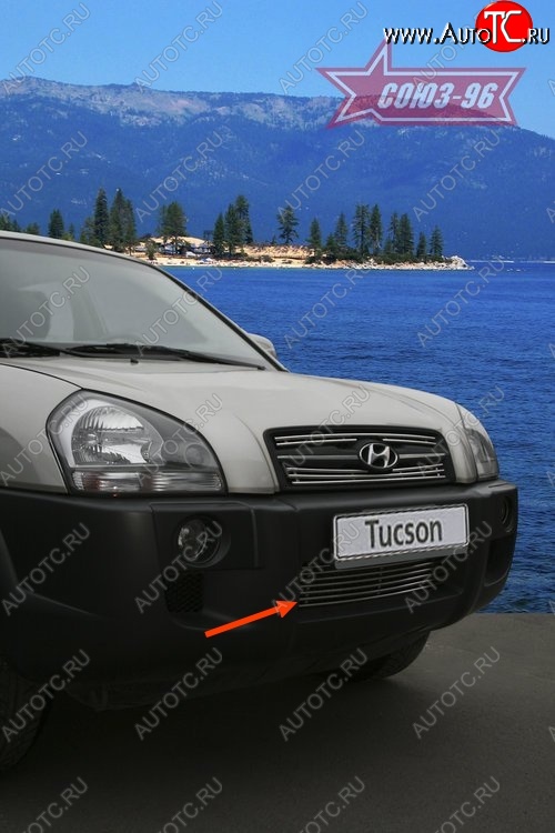 3 554 р. Декоративный элемент воздухозаборника Souz-96 (d10)  Hyundai Tucson  JM (2004-2010)  с доставкой в г. Пермь