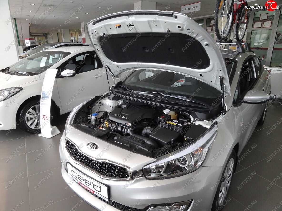 2 049 р. Упоры капота Russtal KIA Ceed 2 JD дорестайлинг универсал (2012-2016)  с доставкой в г. Пермь