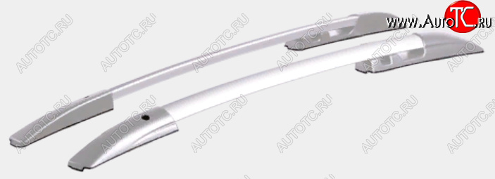 7 649 р. Рейлинги АПС  KIA Ceed  1 ED (2006-2012) дорестайлинг, хэтчбэк 5 дв., рестайлинг, хэтчбэк 5 дв. (Серебристые, без поперечин)  с доставкой в г. Пермь