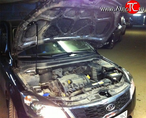 2 249 р. Упор капота Sport  KIA Ceed  1 ED (2006-2012) дорестайлинг универсал, дорестайлинг, хэтчбэк 5 дв., рестайлинг универсал, рестайлинг, хэтчбэк 5 дв. (без кронштейна. установка на растяжку стоек Sport)  с доставкой в г. Пермь
