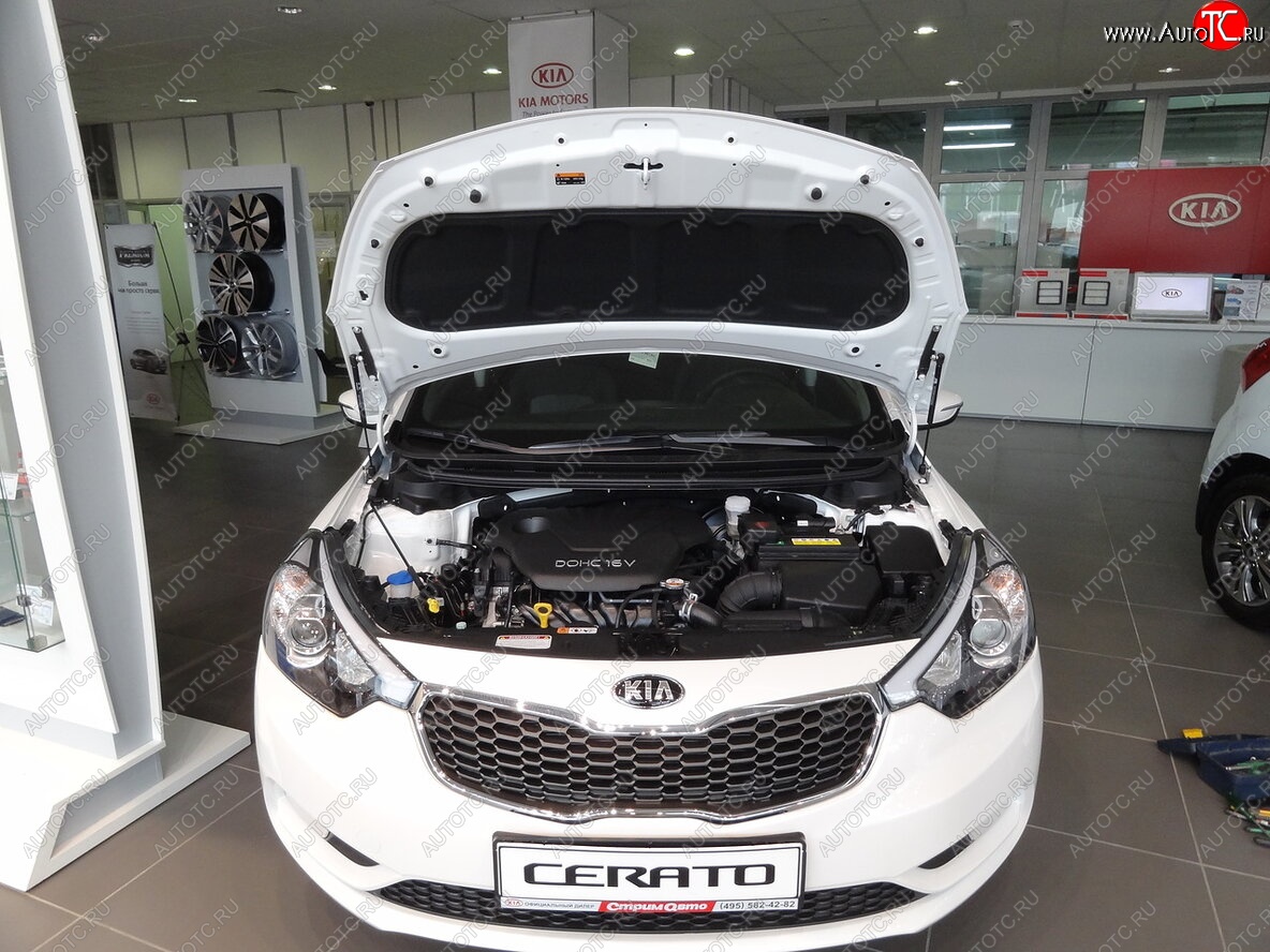 2 049 р. Упоры капота Russtal KIA Cerato 3 YD рестайлинг седан (2016-2019)  с доставкой в г. Пермь