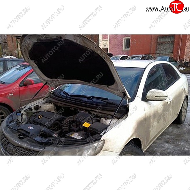 1 699 р. Упоры капота Russtal KIA Cerato 2 TD седан (2008-2013)  с доставкой в г. Пермь