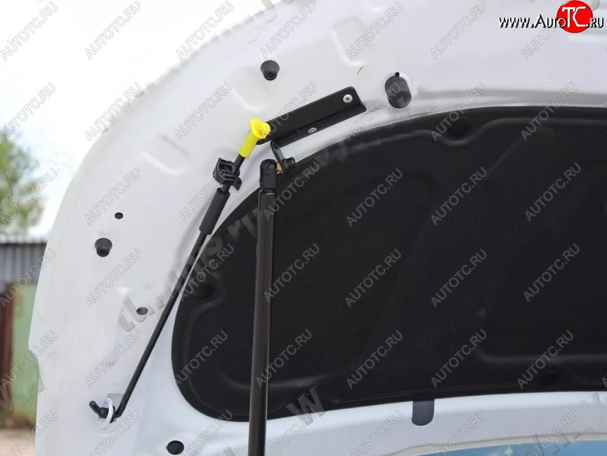 2 689 р. Газовый упор капота Tuning-Sport KIA Rio 3 QB хэтчбек 5 дв. дорестайлинг (2011-2015)  с доставкой в г. Пермь