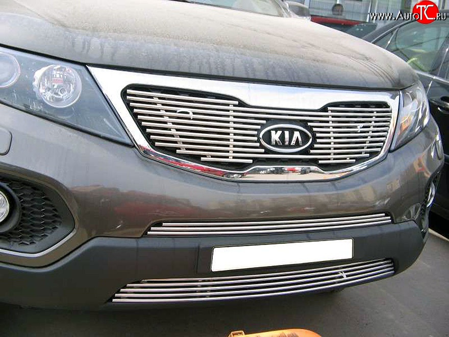 5 799 р. Декоративная вставка решетки радиатора XM Berkut KIA Sorento XM дорестайлинг (2009-2012)  с доставкой в г. Пермь