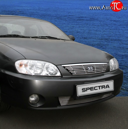 3 914 р. Декоративная вставка решетки радиатора Novline  KIA Spectra (2000-2009)  с доставкой в г. Пермь