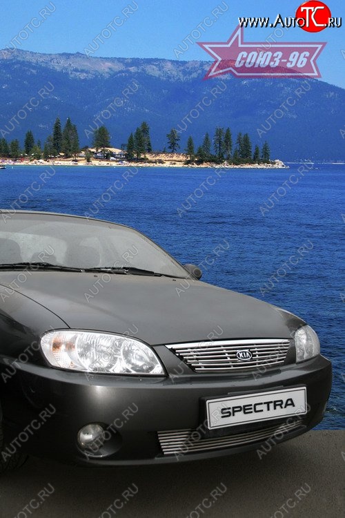 4 274 р. Декоративный элемент решётки радиатора Souz-96 (d10)  KIA Spectra (2000-2009)  с доставкой в г. Пермь