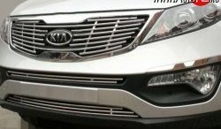 Декоративная вставка решетки радиатора Souz-96 KIA Sportage  3 SL (2010-2016) дорестайлинг, рестайлинг