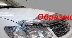 Защита фар CA-Plastik Lexus LX470  J100 (1998-2002) дорестайлинг