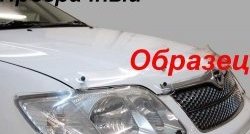 Защита фар CA-Plastik Lexus RX300  XU10 (1995-2001) дорестайлинг (Classic прозрачный)