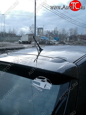 4 149 р. Спойлер SPORTEST Mazda 3/Axela BK дорестайлинг, хэтчбэк (2003-2006) (Неокрашенный)  с доставкой в г. Пермь