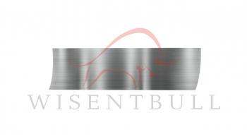 Ремкомплект левой двери Wisentbull Mazda Atenza GG лифтбэк дорестайлинг (2002-2005)
