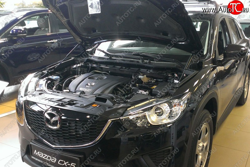 2 199 р. Газовые упоры капота Berkut Mazda CX-5 KE дорестайлинг (2011-2014)  с доставкой в г. Пермь