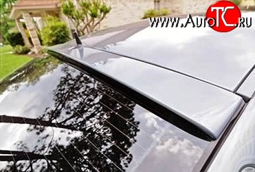 5 949 р. Козырёк на заднее стекло AMG дорестайл Mercedes-Benz CLS class C219 (2004-2011) (Неокрашенный)  с доставкой в г. Пермь