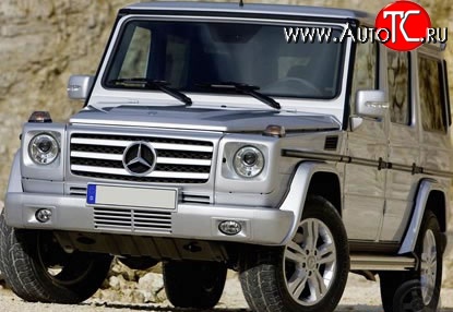 19 199 р. Решётка радиатора AMG Mercedes-Benz G class W463 5 дв. дорестайлинг (1989-1994) (Неокрашенная)  с доставкой в г. Пермь