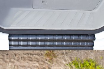 1 679 р. Накладка на внутренние пороги дверей RA Mercedes-Benz Sprinter W906 (2006-2013)  с доставкой в г. Пермь. Увеличить фотографию 3