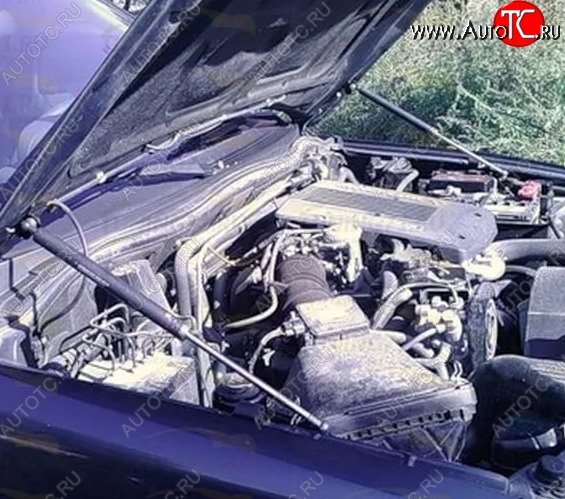 2 199 р. Газовые упоры капота Berkut Mitsubishi Pajero 3 V70 дорестайлинг (1999-2003)  с доставкой в г. Пермь