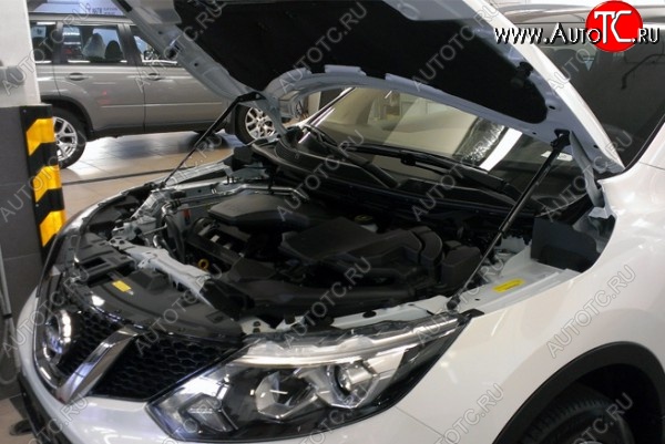 2 199 р. Газовые упоры капота Berkut Nissan Qashqai 2 J11 рестайлинг (2017-2022)  с доставкой в г. Пермь