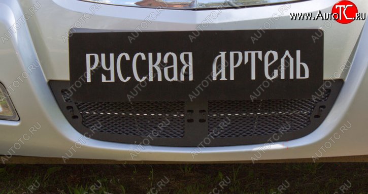 1 799 р. Защитная сетка решетки переднего бампера РА Nissan Almera Classic седан B10 (2006-2013)  с доставкой в г. Пермь