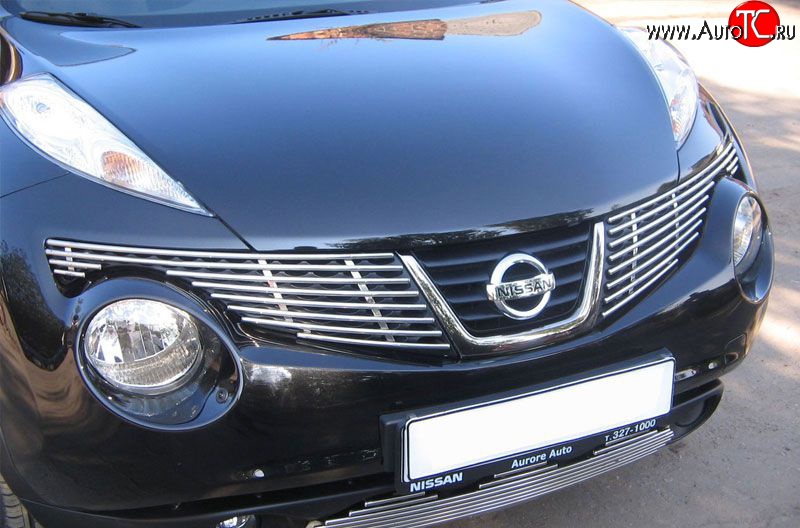 6 499 р. Декоративная вставка решетки радиатора Berkut Nissan Juke 1 YF15 дорестайлинг (2010-2014)  с доставкой в г. Пермь