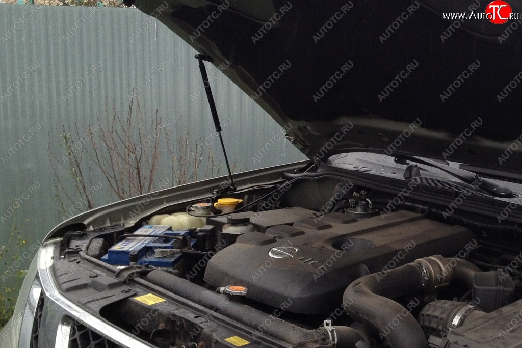 1 699 р. Газовые упоры капота Berkut Nissan Pathfinder R51 рестайлинг (2009-2014)  с доставкой в г. Пермь