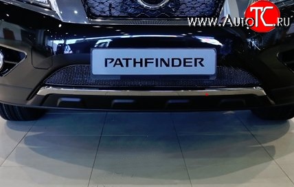 1 799 р. Сетка на бампер Novline  Nissan Pathfinder  R52 (2012-2017) дорестайлинг  с доставкой в г. Пермь