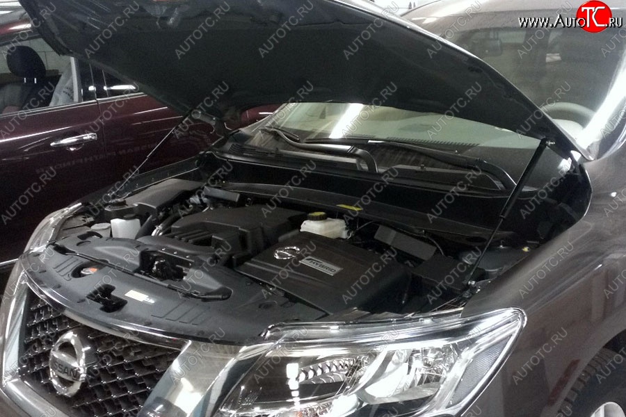 2 199 р. Газовые упоры капота Berkut Nissan Pathfinder R52 дорестайлинг (2012-2017)  с доставкой в г. Пермь