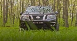 1 469 р. Защитная сетка решетки радиатора РА Nissan Terrano D10 дорестайлинг (2013-2016)  с доставкой в г. Пермь. Увеличить фотографию 4