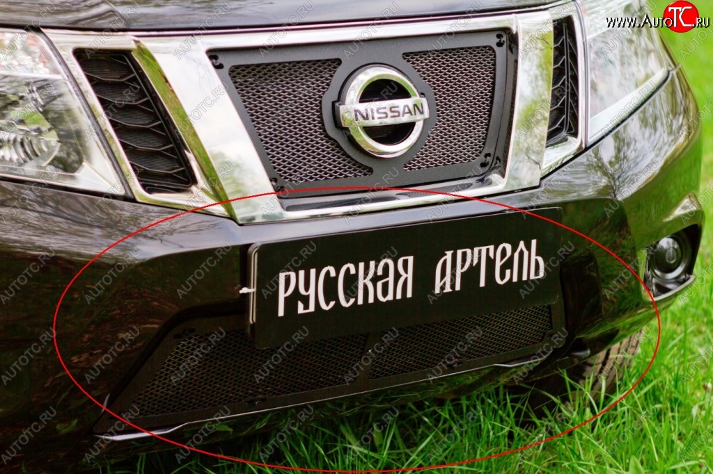 2 279 р. Защитная сетка решетки переднего бампера РА Nissan Terrano D10 дорестайлинг (2013-2016)  с доставкой в г. Пермь