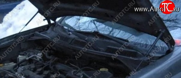 1 699 р. Газовые упоры капота Berkut Nissan X-trail 1 T30 дорестайлинг (2000-2003)  с доставкой в г. Пермь