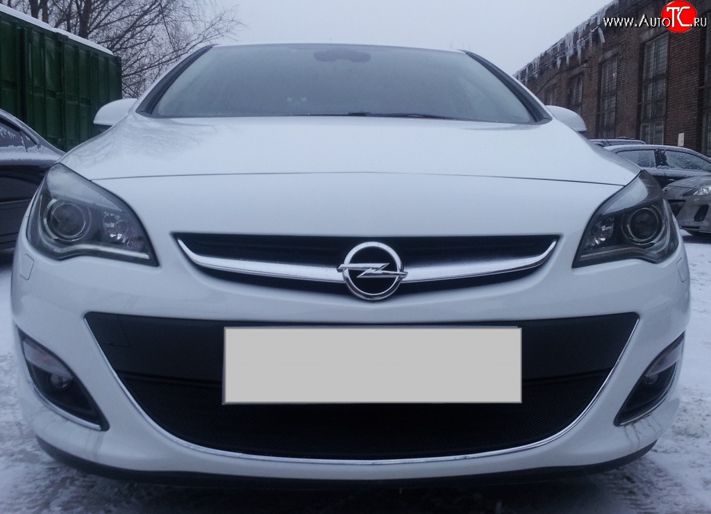 1 469 р. Сетка на бампер Russtal (черная) Opel Astra J хэтчбек 5 дв.  рестайлинг (2012-2017)  с доставкой в г. Пермь