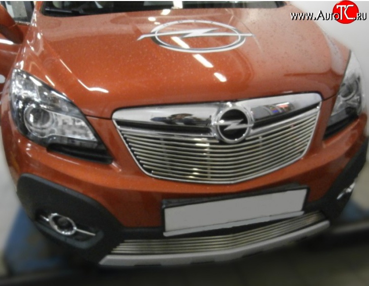 5 199 р. Декоративная вставка решетки радиатора Berkut Opel Mokka  дорестайлинг (2012-2016)  с доставкой в г. Пермь