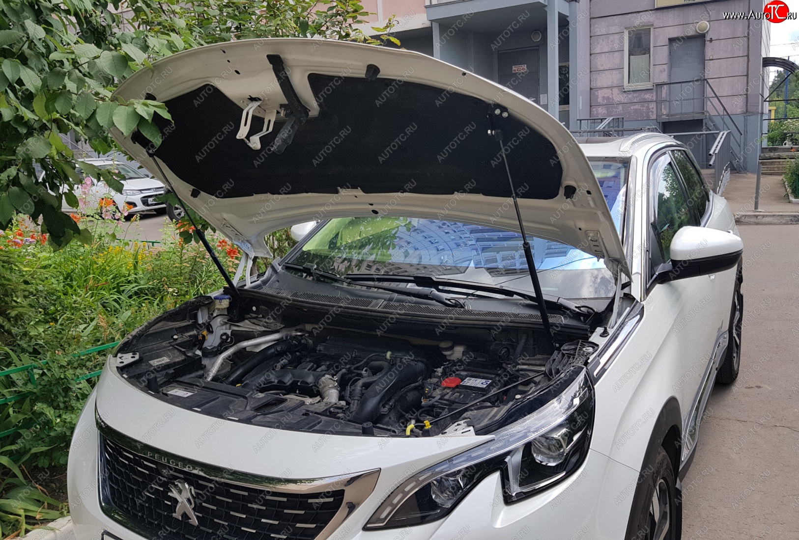 2 799 р. Упоры капота Russtal Peugeot 3008 2 (2016-2025)  с доставкой в г. Пермь