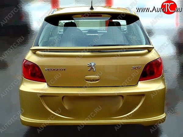 28 999 р. Задний бампер D.J. Peugeot 307 хэтчбэк 5 дв. дорестайлинг (2001-2005)  с доставкой в г. Пермь